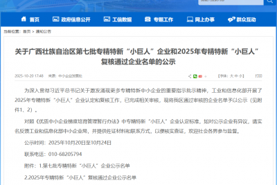 再獲國家認(rèn)可丨桂林電力電容器有限責(zé)任公司通過專精特新“小巨人”復(fù)核